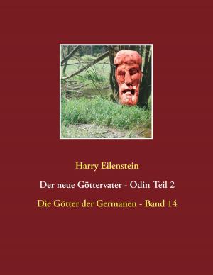 Book cover of Der neue Göttervater - Odin Teil 2