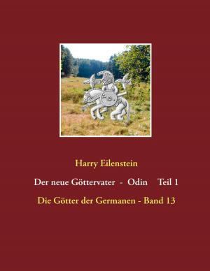 Cover of the book Der neue Göttervater - Odin Teil 1 by Wioletta Kempa