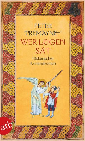 Cover of the book Wer Lügen sät by Martina André