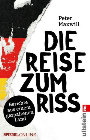 Book cover of Die Reise zum Riss