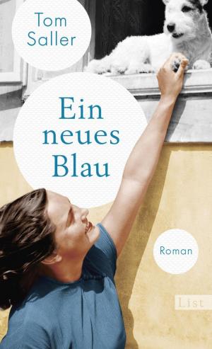 Cover of the book Ein neues Blau by Majgull Axelsson