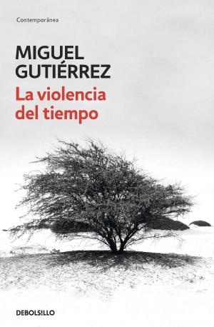 Cover of the book La violencia del tiempo by ADRIANA CARULLA