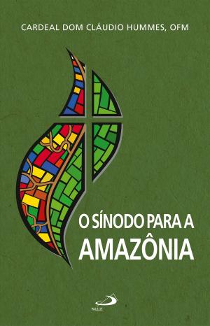 Cover of the book O Sínodo para a Amazônia by Venício Artur de Lima, Juarez Guimarães