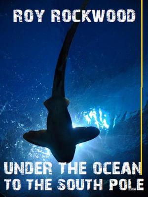 Cover of the book Under the Ocean to the South Pole by Paola Drigo
