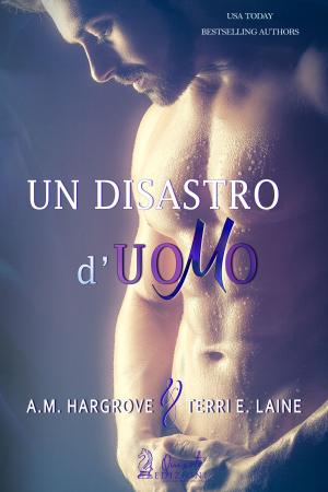 Cover of the book Un disastro d'uomo by A.E. Wasp