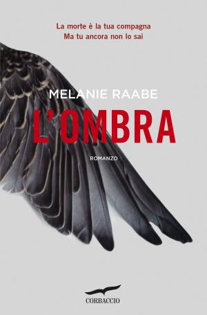 Cover of the book L'ombra by Reinhold Messner