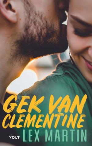 Cover of the book Gek van Clementine by Peter Ouwerkerk