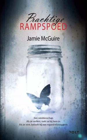 Cover of the book Prachtige rampspoed by Anna Enquist