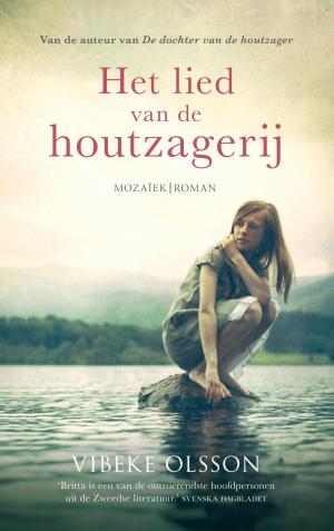 Cover of the book Het lied van de houtzagerij by Thea Zoeteman-Meulstee