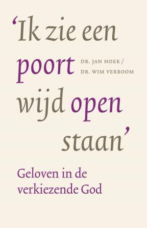 Cover of the book Ik zie een poort wijd open staan by Nel van der Zee
