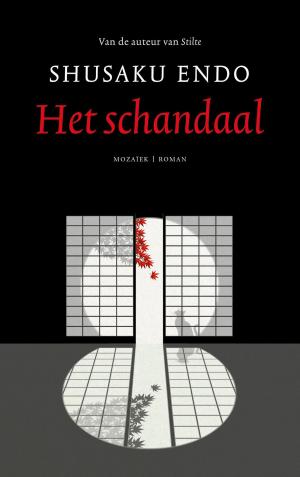 Book cover of Het schandaal