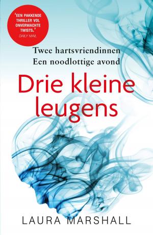 Cover of the book Drie kleine leugens by Robert Jordan