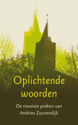 Cover of the book Oplichtende woorden by Willeke Brouwer