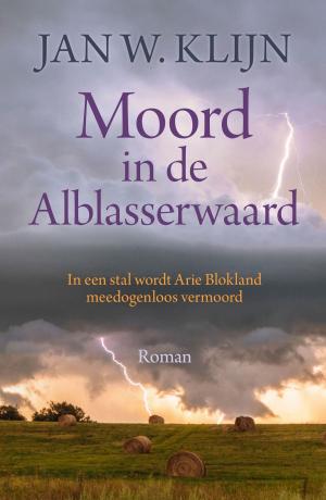 Cover of the book Moord in de Alblasserwaard by Henk Stoorvogel