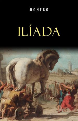 Cover of the book Ilíada by Fiódor Dostoiévski