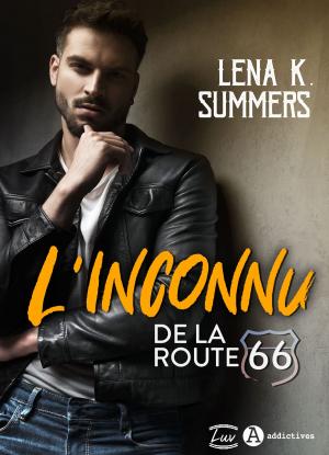 Cover of the book L'inconnu de la route 66 by Ana K. Anderson