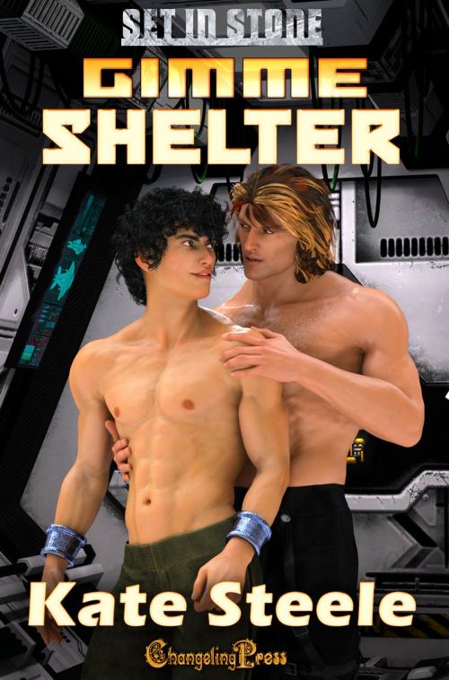 Cover of the book Gimme Shelter by Kate Steele, Changeling Press LLC