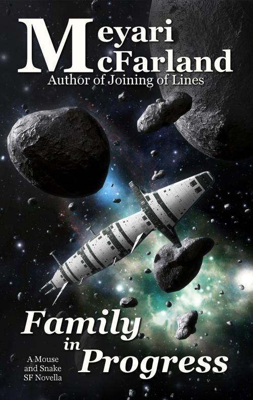 Cover of the book Family in Progress by Meyari McFarland, MDR Publishing
