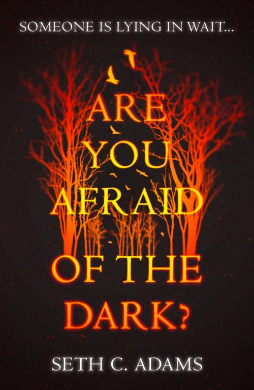 Cover of the book Are You Afraid of the Dark? by Seth C. Adams, HarperCollins Publishers