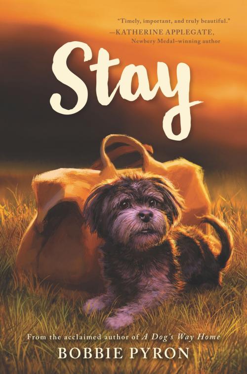 Cover of the book Stay by Bobbie Pyron, Katherine Tegen Books
