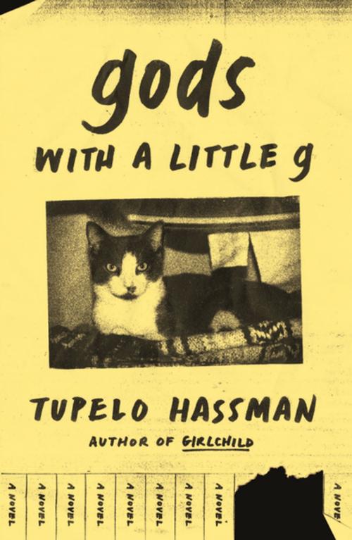 Cover of the book gods with a little g by Tupelo Hassman, Farrar, Straus and Giroux