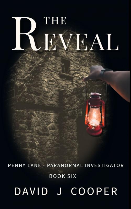 Cover of the book The Reveal by David J Cooper, David J Cooper