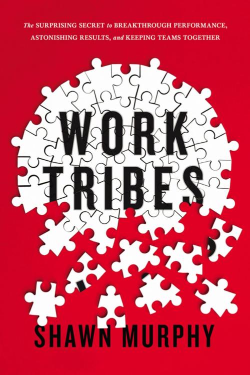 Cover of the book Work Tribes by Shawn Murphy, HarperCollins Leadership
