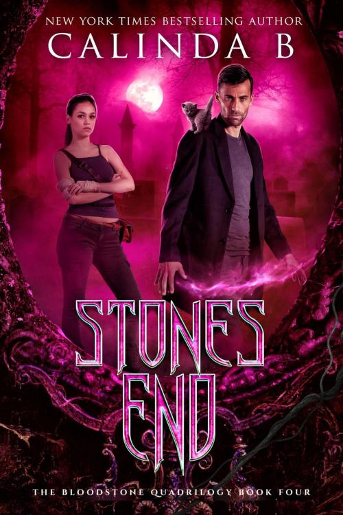 Cover of the book Stones End by Calinda B, Calinda B