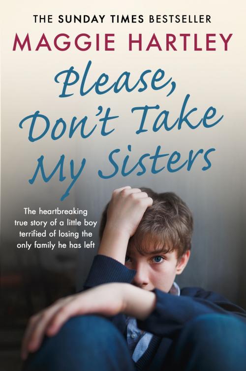 Cover of the book Please Don't Take My Sisters by Maggie Hartley, Orion Publishing Group