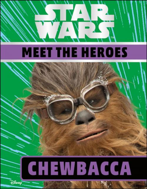 Cover of the book Star Wars Meet the Heroes Chewbacca by DK, DK Publishing