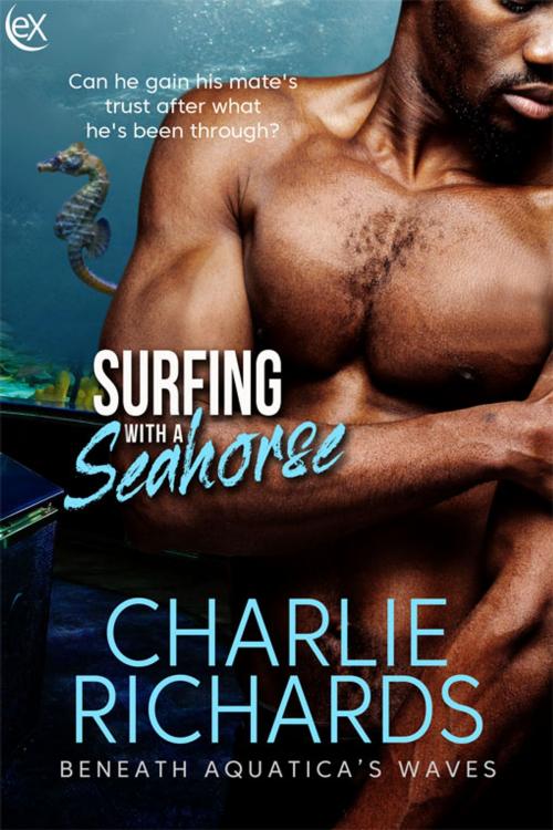Cover of the book Surfing with a Seahorse by Charlie Richards, eXtasy Books Inc