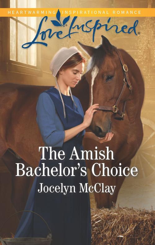 Cover of the book The Amish Bachelor's Choice by Jocelyn McClay, Harlequin