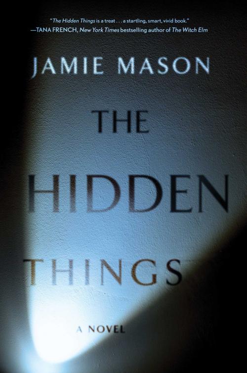 Cover of the book The Hidden Things by Jamie Mason, Gallery Books
