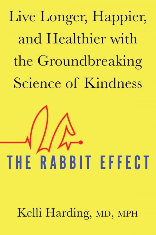 Cover of the book The Rabbit Effect by Kelli Harding, M.D., M.P.H, Atria Books