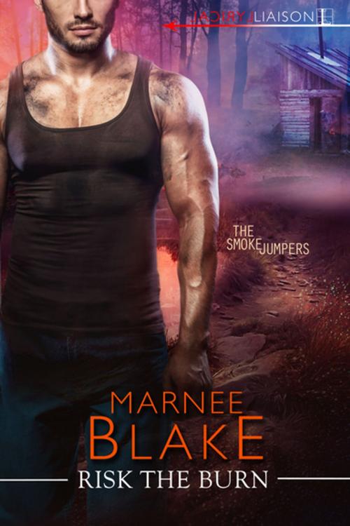 Cover of the book Risk the Burn by Marnee Blake, Lyrical Press
