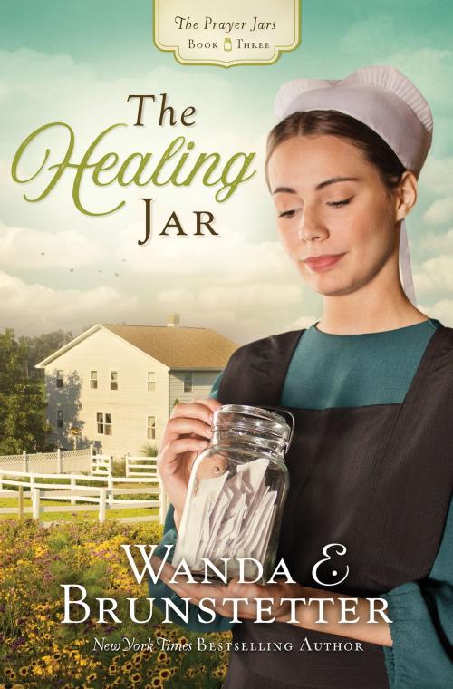 Cover of the book The Healing Jar by Wanda E. Brunstetter, Barbour Publishing, Inc.