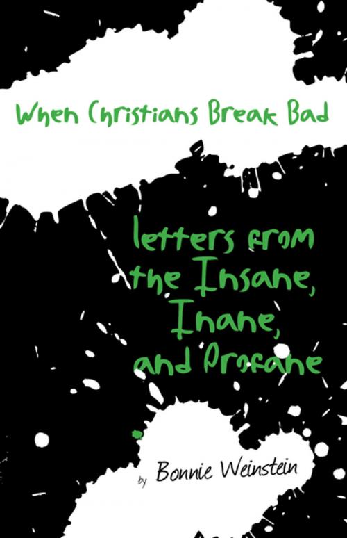 Cover of the book When Christians Break Bad by , Rare Bird Books