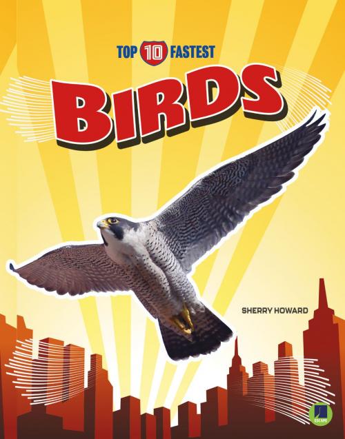Cover of the book Birds by Sherry Howard, Rourke Educational Media