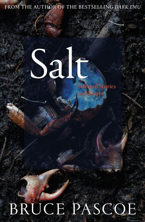Cover of the book Salt by Bruce Pascoe, Schwartz Publishing Pty. Ltd