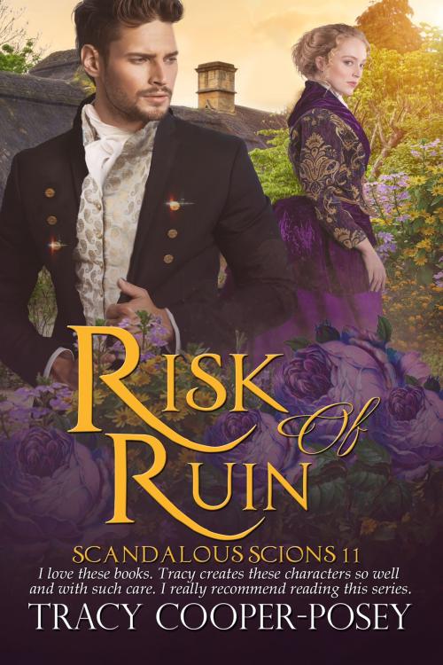 Cover of the book Risk of Ruin by Tracy Cooper-Posey, Stories Rule Press