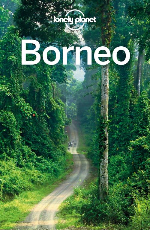 Cover of the book Lonely Planet Borneo by Lonely Planet, Lonely Planet Global Limited