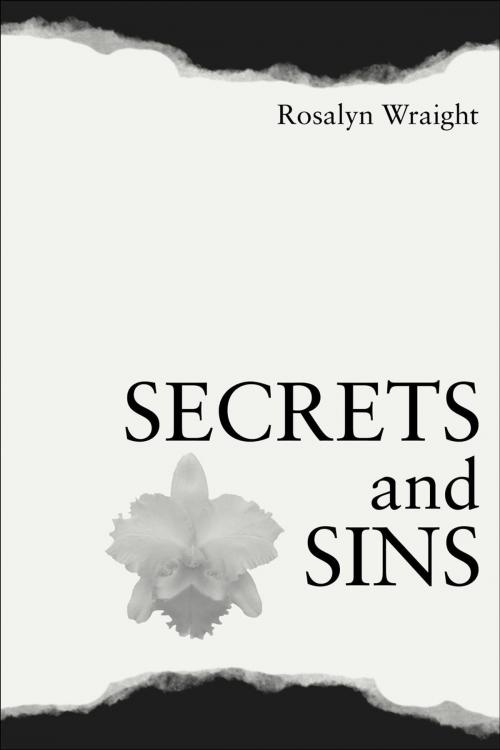 Cover of the book Secrets and Sins by Rosalyn Wraight, Don't Waste Daylight