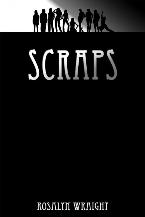 Cover of the book Scraps by Rosalyn Wraight, Don't Waste Daylight