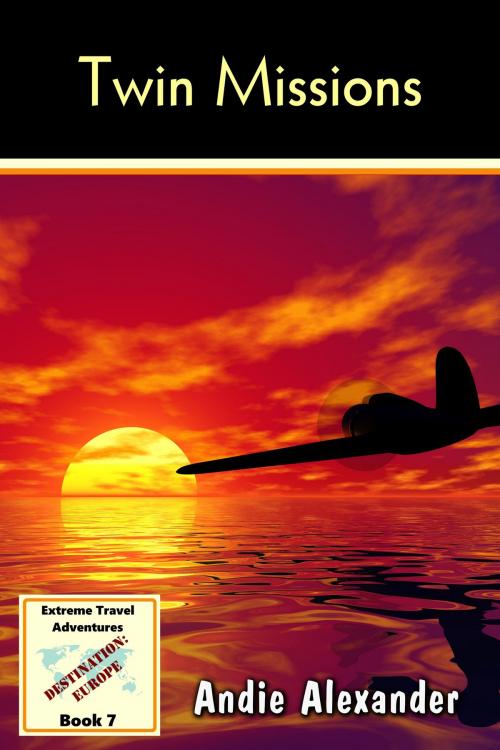 Cover of the book Twin Missions by Andie Alexander, Andie Alexander