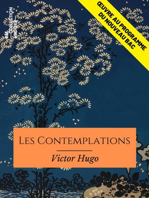 Cover of the book Les Contemplations by Victor Hugo, BnF collection ebooks