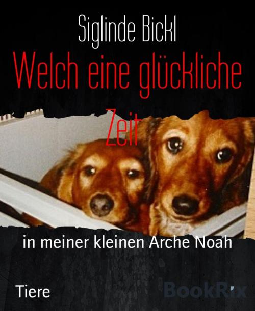 Cover of the book Welch eine glückliche Zeit by Siglinde Bickl, BookRix
