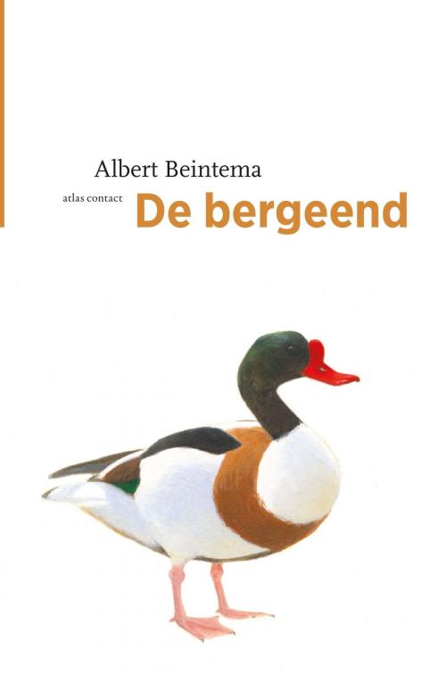 Cover of the book De bergeend by Albert Beintema, Atlas Contact, Uitgeverij