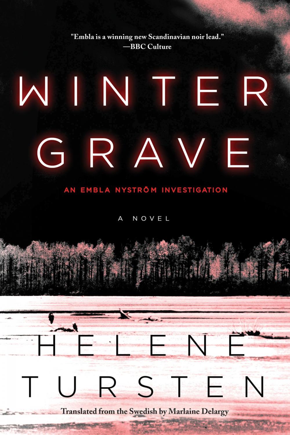 Big bigCover of Winter Grave