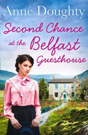 Cover of the book A Second Chance at the Belfast Guesthouse by Tarek Malouf