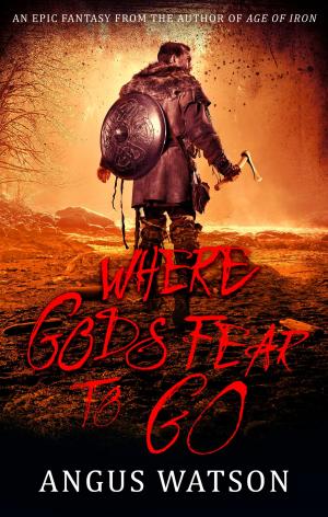 Book cover of Where Gods Fear to Go